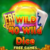 40 Wild Dice