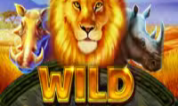 Wild Kingdom
