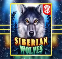 Siberian Wolves