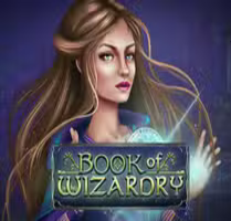 Book of Wizardy