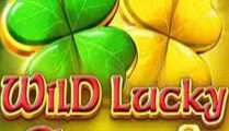 Wild Lucky Clover 2
