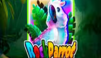 Rock Parrot