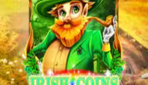 Irish Coins