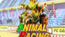 Animal Racing