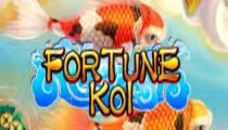 Fortune Koi