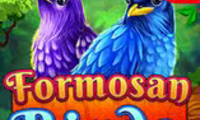 Formosan Birds