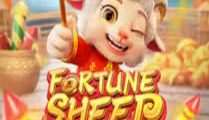 Fortune Sheep