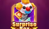 Surprise Box