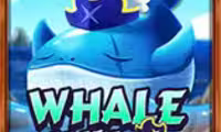 Whale Wild