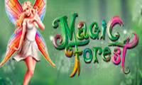 Magic Forest