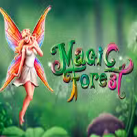 Magic Forest