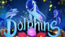 Dolphins Treasure