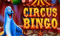  Circus Bingo