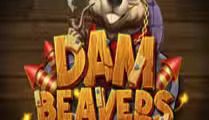 Dam Beavers