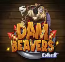 Dam Beavers