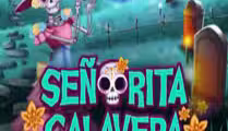 Bingo Senorita Calavera