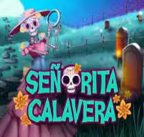  Bingo Senorita Calavera