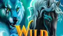 Wild Overlords