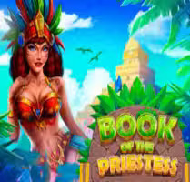 Book Of The Priestess