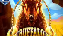 Buffalo Wheel