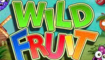  Wild Fruit