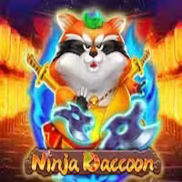 Ninja Raccoon