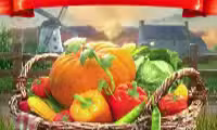 Golden Harvest