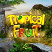 Tropical Fruit