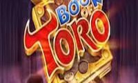 Book of Toro