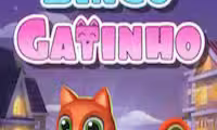 Bingo Gatinho