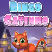 Bingo Gatinho