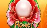 Flower Fortunes