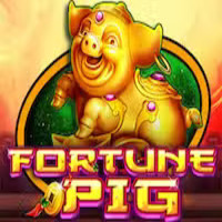 Fortune Pig