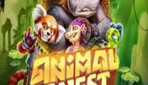 Animal Quest