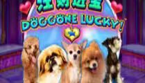 Doggone Lucky