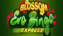 Blossom Evobingo Express