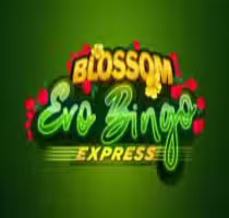 Blossom Evobingo Express