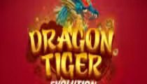 Dragon Tiger Evolution