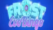 Frost Evobingo