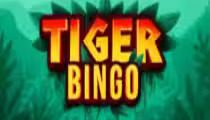 Tiger Bingo