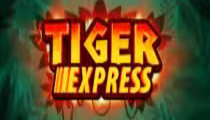 Tiger Express