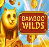 Bamboo Wilds