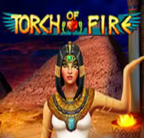  Torch Of Fire