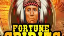 Fortune Spirits