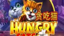 Hungry Cats