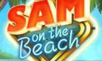 Sam on the Beach