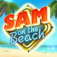 Sam on the Beach