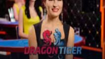 Dragon Tiger