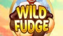  Wild Fudge