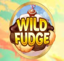  Wild Fudge
